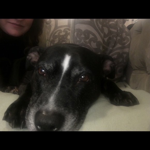 Meet your Posher, Jessica - Picture 1 of 1